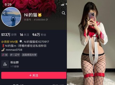 Ni的猫猫—微密图片视频合集【持续更新】