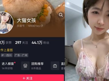 大猫女孩—微密图片视频合集【持续更新】