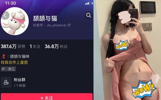 颉颉与猫咪—微密图片视频合集【持续更新】