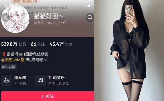 猫猫好困—微密图片视频合集【持续更新】