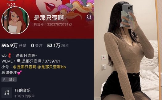 是那只壶啊—微密图片视频合集【持续更新】