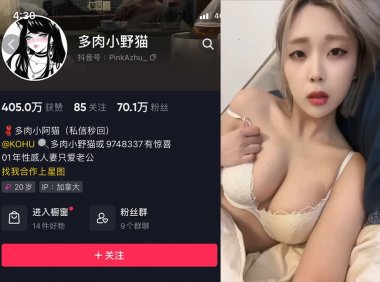 多肉小野猫—微密图片视频合集【持续更新】