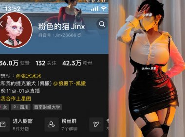 粉色的猫jinx—微密图片视频合集【持续更新】