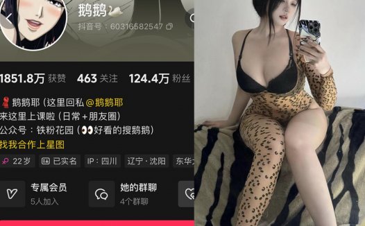 鹅鹅耶—微密图片视频合集【持续更新】