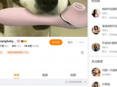 lelepigbaby—铁粉微博图片视频合集【持续更新】