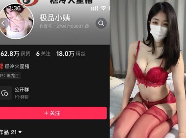 极品小姨/糕冷火星猪—微密视频合集【持续更新】