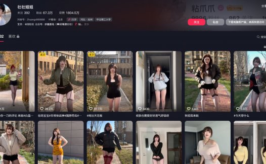 壮壮姐姐—微密视频合集【持续更新】