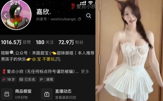 嘉欣/爱点小欣—微密视频合集【持续更新】