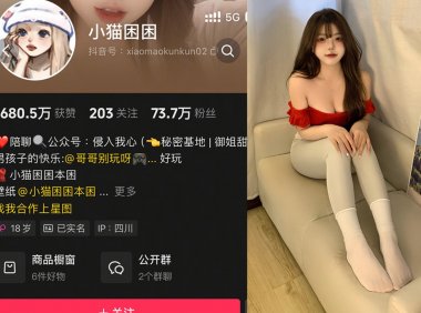 小猫困困本困—微密付费视频图片合集【持续更新】