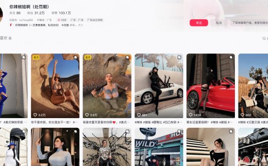 你辣椒姐啊—微密付费视频图片合集【持续更新】