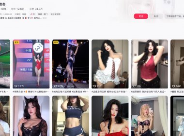 叁叁乐园(陆叁叁)—微密图片视频合集【持续更新】