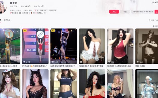 叁叁乐园(陆叁叁)—微密图片视频合集【持续更新】