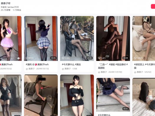 惠惠子呀—微密图片视频合集【持续更新】